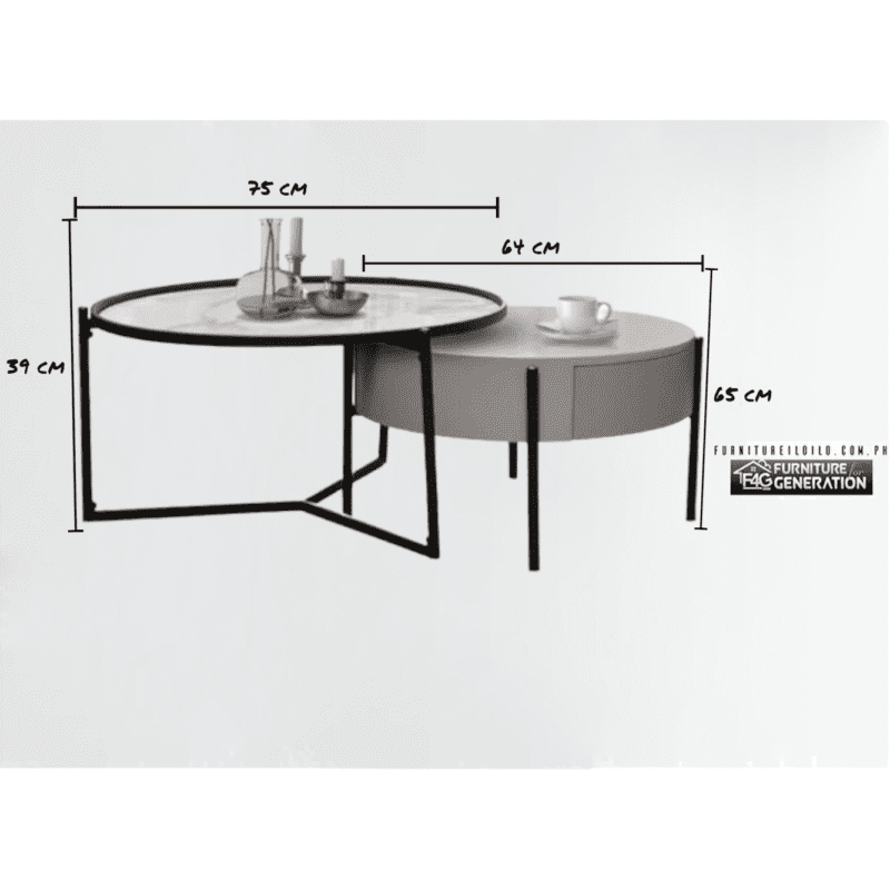 Coffee Tables / End Tables / Center Table